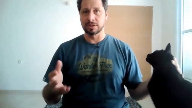 Александр Коско о даосском принципе "Недеяние" (У-вэй) смотреть онлайн