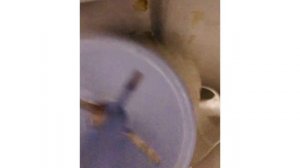 Обзор на паровую швабру Kitfort Kt 1008: отмываю духовку, унитаз, кресло и кафель плюс лайфхаки.