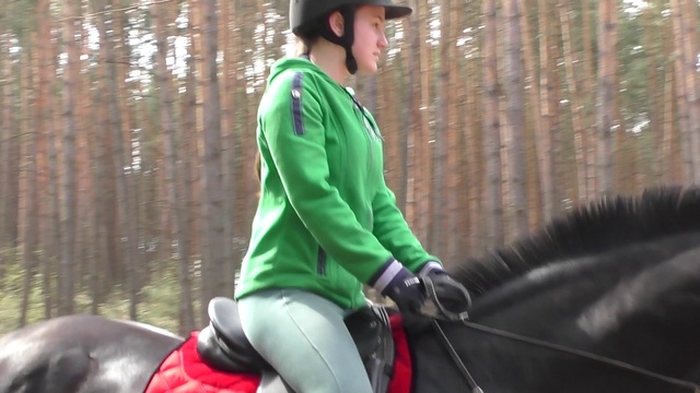 Парк Дракино