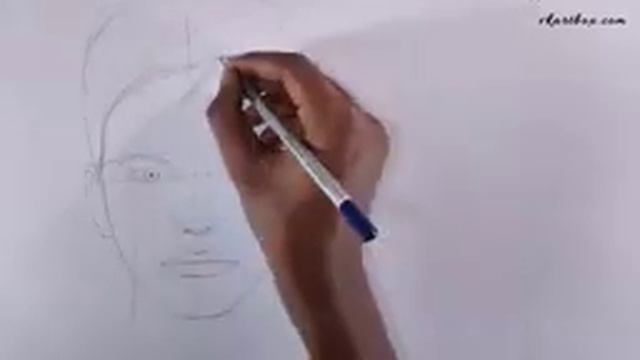 How to Draw Face, Male and Female, Basic Proportion смотреть онлайн