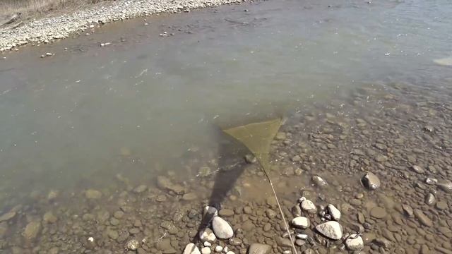 Без рыбы не бываем! рыбалка кастинговой сетью на горных реках