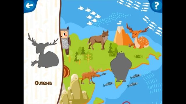 Материки и животные.