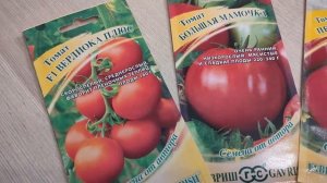 113. Когда ВЫСЕВАТЬ ранние и скороспелые ТОМАТЫ? Легкий способ посадки ультраранних томатов.
