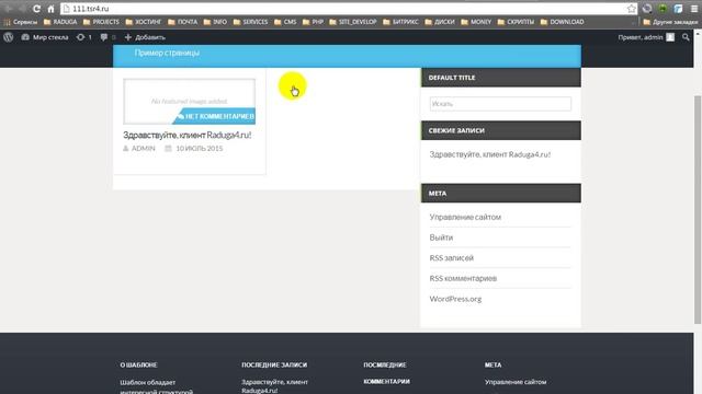 Выбор темы wordpress смотреть онлайн