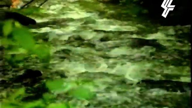 Գուսան Աշոտ՝ Գարուն, Մոնիկա Նազարյանի քաղցր կատարումը. Gusan Ashot Garun Monika Nazaryan