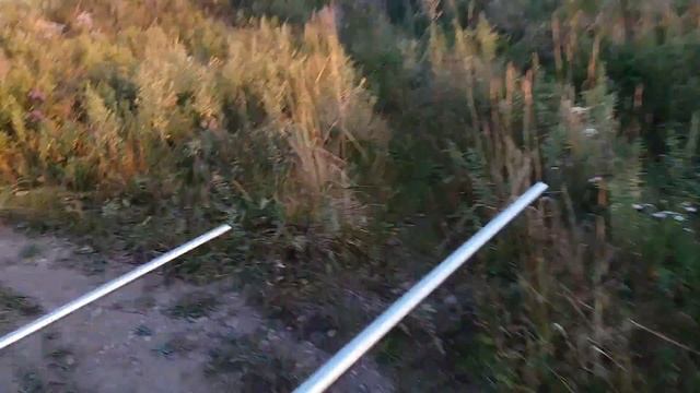 радио ошейник . работа антены после переделки запитки . смотреть онлайн