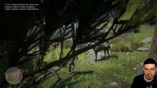 Вне закона//Red Dead Redemption 2//#2 смотреть онлайн
