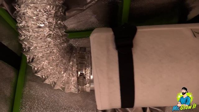 Easy Grow Tent Setup For Beginners & Planting Seeds