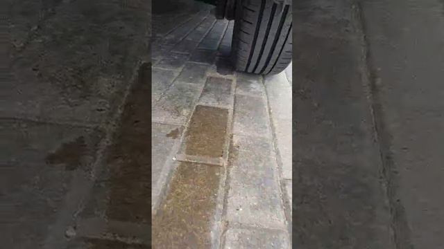 1000239488.mp4 смотреть онлайн