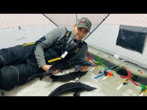 Рыбалка на осетра зимой ловля на зимние удочки.