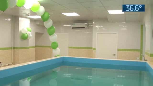 Реабилитация для домашних животных смотреть онлайн