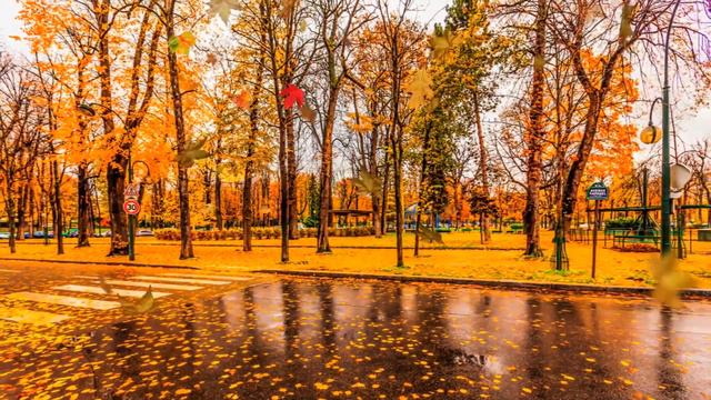 Pachelbel: Canon In D (Tomita Electronic Arrangement)