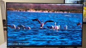 Телевизор Hi