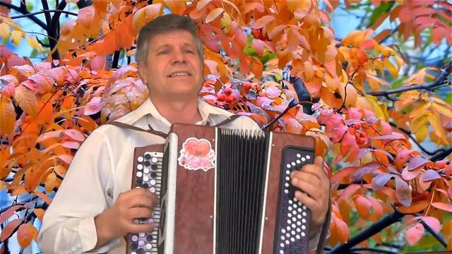 Песня-тонкая рябина. смотреть онлайн