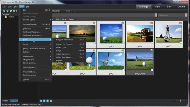 ACDsee Image Resize Tutorial - Resizing Images
