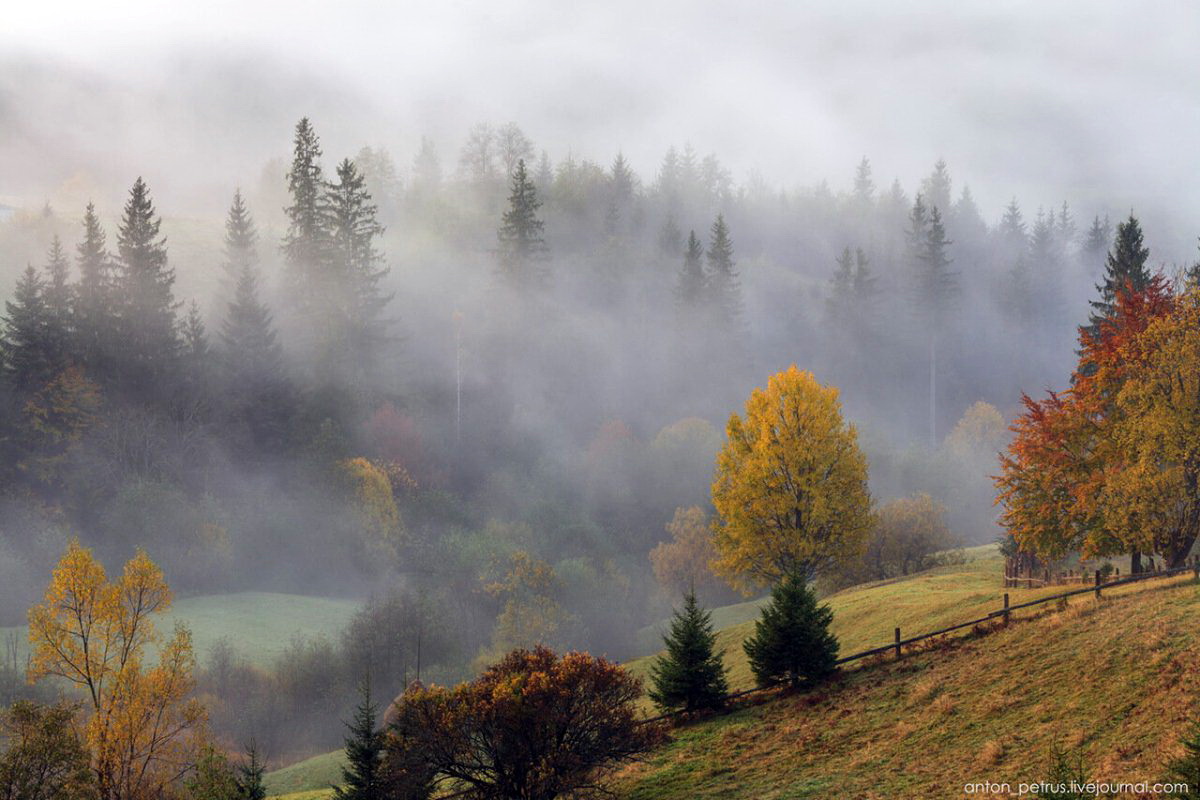 Осенний туман