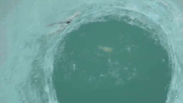 ICE FISHING LAKE ST. CLAIR MI смотреть онлайн