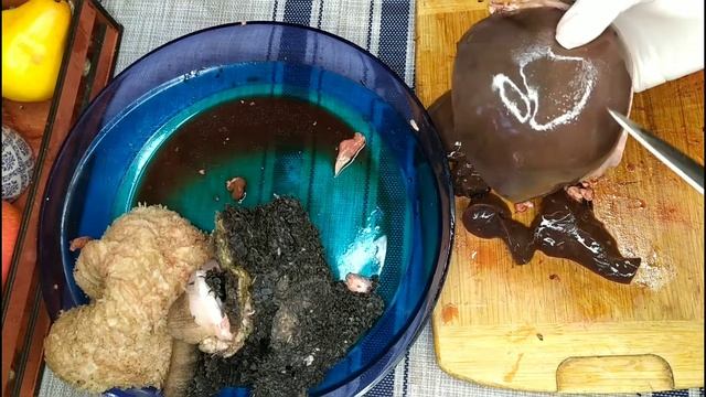 Собачья кухня.. Что мы покупает собаке.. Сбалансированное питание собаке.