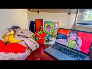 Гамадриленыш Люська смотрит про себя КИНО!