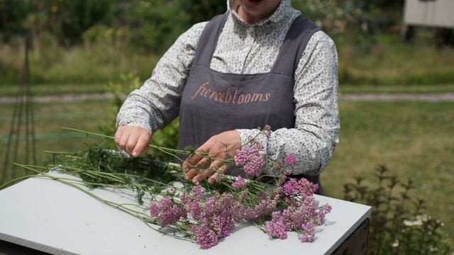 How To Harvest & Dry Achillea For Your Own Valuable Everlasting Flowers смотреть онлайн