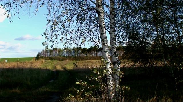 Осень.  Llewellyn.Kindred Souls pt 1.