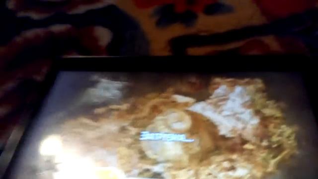 Энгри бёрдс эпик прохождение игры смотреть онлайн