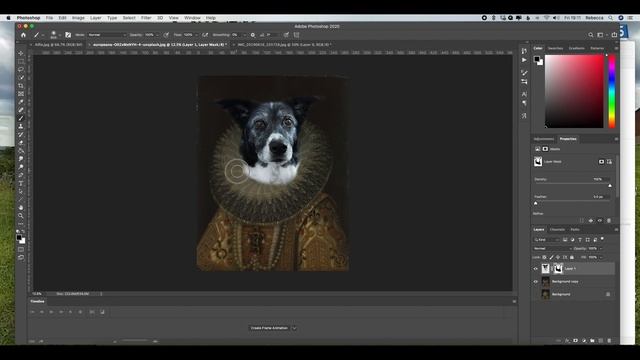 Pets In ROYAL Portraits Photoshop Trick