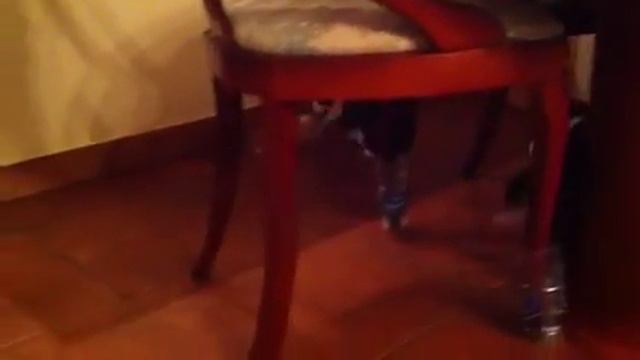 Bob is playing plastic bottle смотреть онлайн