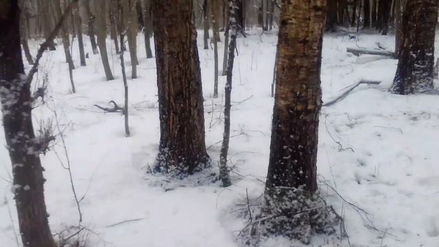 Весенняя охота на рога! смотреть онлайн