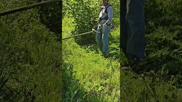 Oleomac 753 T tırpan motorunu tanıtırken yılan gördükkk. смотреть онлайн