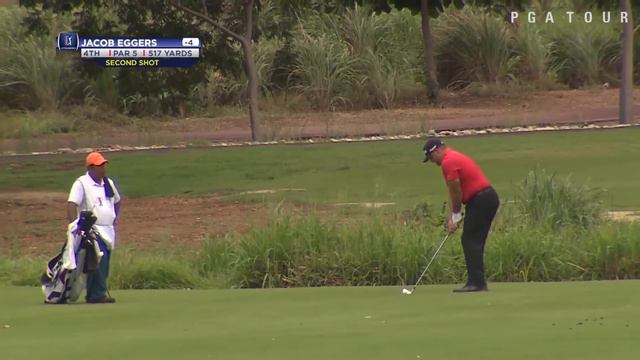 Highlights | Eric Steger holds the lead before rain delay at the Flor de Cana Open смотреть онлайн