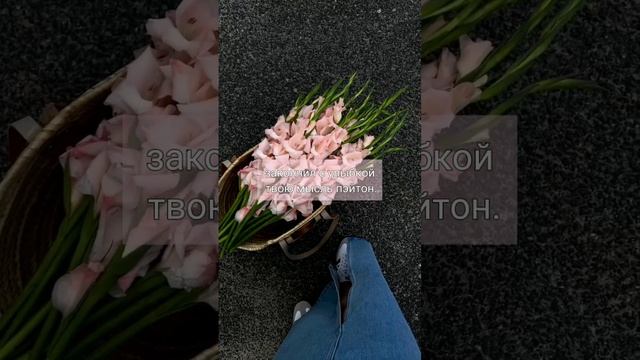 /Мой партнер/42 серия/paytonpov?? смотреть онлайн