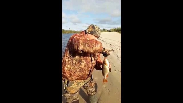 Рыбалка на р Ляма смотреть онлайн