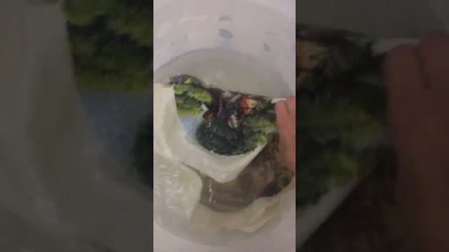 У Ленушки постирушки ??