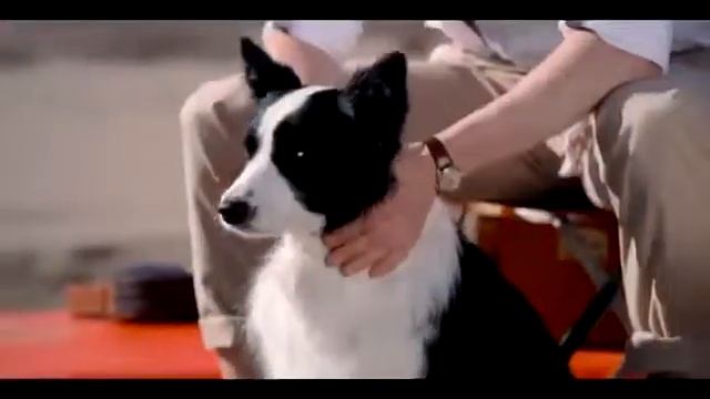 Carolina Herrera CH Men Sport