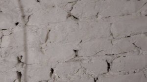 Зимовка карпов кои.Немного о пруде.