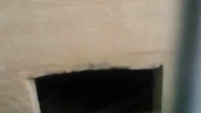 Дегу лучшие домашние грызуны 2 смотреть онлайн