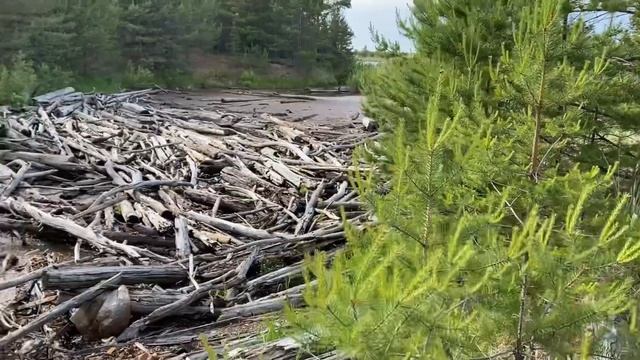 Деревня Солза на море в Архангельской области. Красота природы в 40 минутах от города #Северодвинск смотреть онлайн