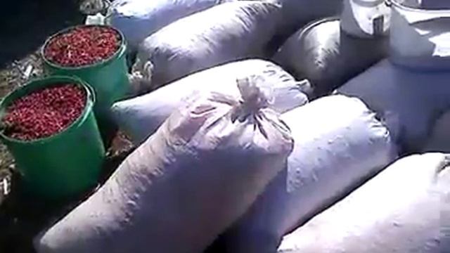 MOV00011 смотреть онлайн