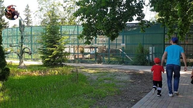 Влог Идем в зоопарк кормить животных. Поведение детей. Обучающее видео немецкому и английскому смотреть онлайн