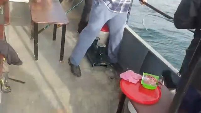 Крупная камбала!!! 3 кг))) смотреть онлайн