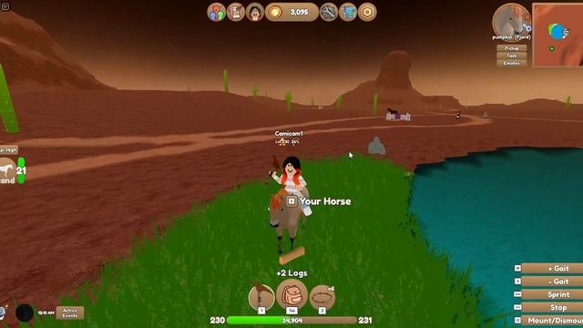 Roblox Wild Horse Islands, there is a new Akhal Teke update !!! смотреть онлайн