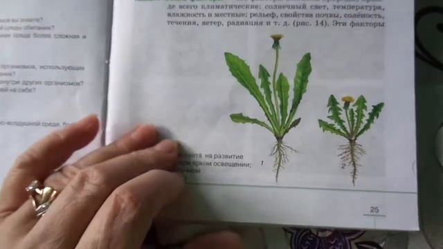 Биология 5 кл § 5 Экологические факторы... (Автор В.В.Пасечник) смотреть онлайн