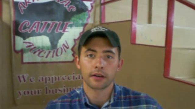 Arkansas Cattle Auction смотреть онлайн