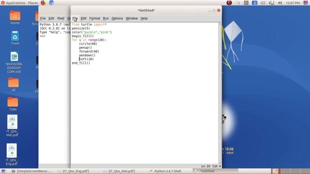 SSLC IT Exam | 2021 Focus Point | Python graphics | Group 3 Activity 1 смотреть онлайн