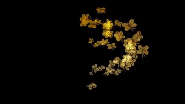 ФУТАЖ-ЦВЕТЫ/ВИДИОМАНТАЖ/ смотреть онлайн