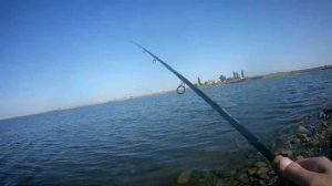 РЫБАЛКА НА ПЕЛЕНГАСА В КИРИЛЛОВКЕ.