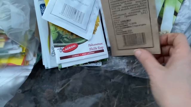 Работа в теплице продолжается / рассада в теплице / древесный уголь творит чудеса смотреть онлайн