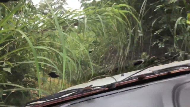 Ford ranger@น้ำตกหิมาลัย ช่วง12 смотреть онлайн