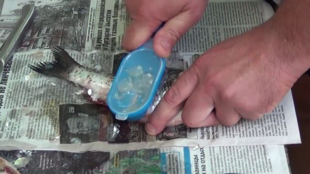 Бесполезное средство для чистки рыбы смотреть онлайн